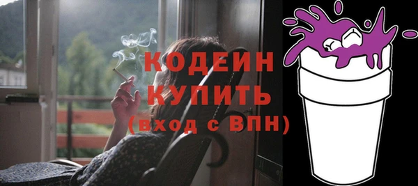 амф Пересвет