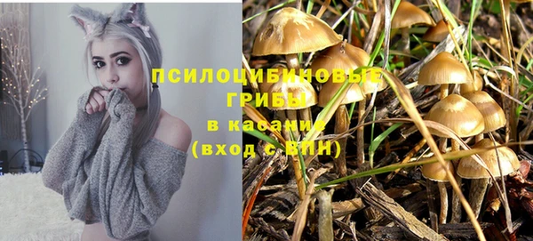 не бодяженный Переславль-Залесский