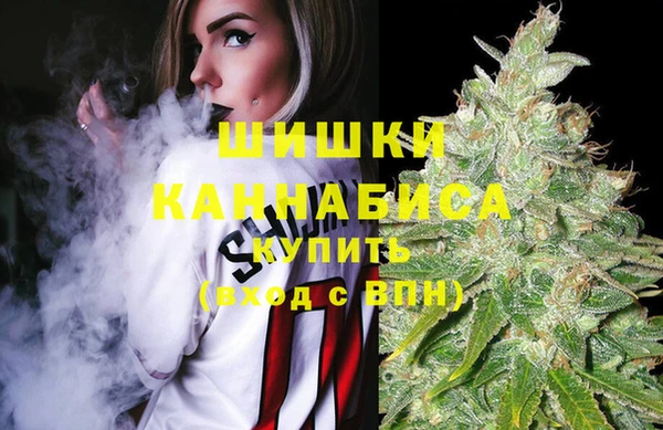 прущий лед Осташков