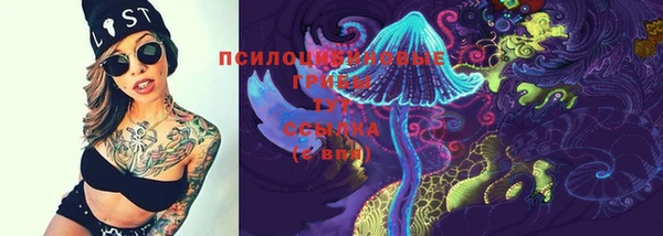 амф Пересвет