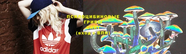 Альфа ПВП Остров