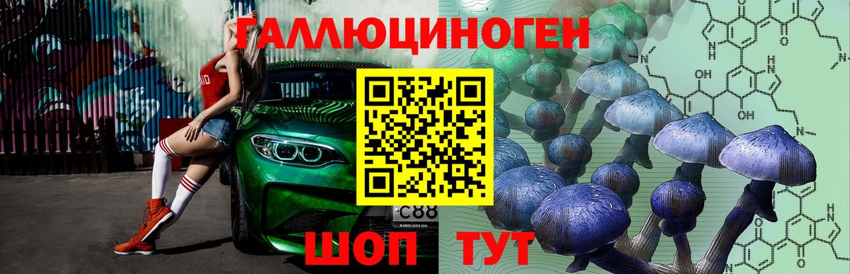 купить  цена  Вход с VPN  Зерноград  Галлюциногенные грибы Cubensis 