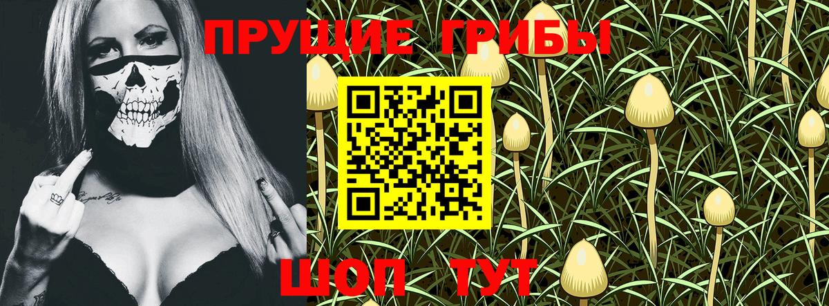 Псилоцибиновые грибы Psilocybine cubensis  Псилоцибиновые грибы мицелий  Зерноград 